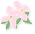 icon:花