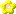 Yellow flower